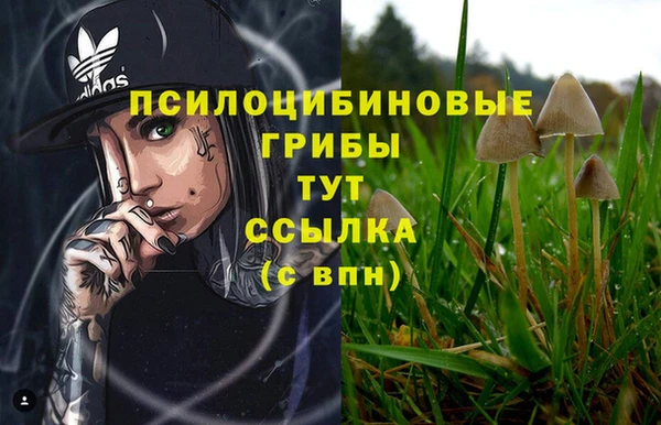 эйфоретик Алексин
