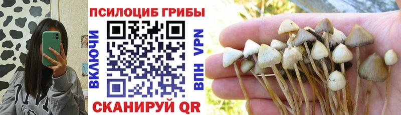 Галлюциногенные грибы MAGIC MUSHROOMS Биробиджан