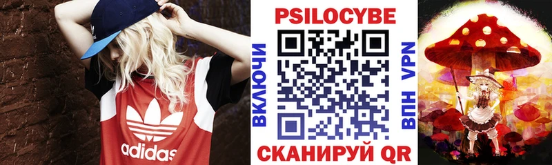 Псилоцибиновые грибы Cubensis  omg как войти  Биробиджан 