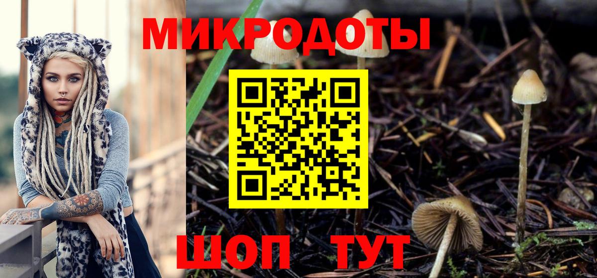 Галлюциногенные грибы Psilocybe  Вход с VPN  Биробиджан  Псилоцибиновые грибы мицелий 